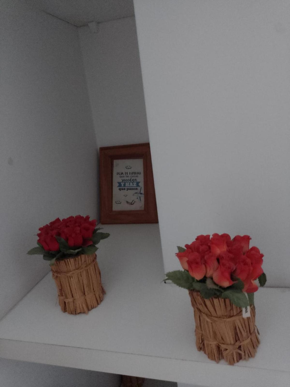 Relax En Palermo Con Gran Balcon Y Wifi 300Mb Appartement Buenos Aires Buitenkant foto
